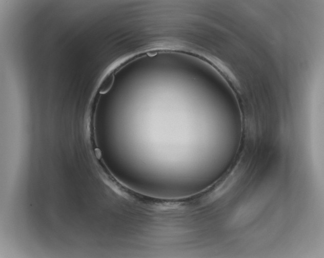 X0000112760846200908201436