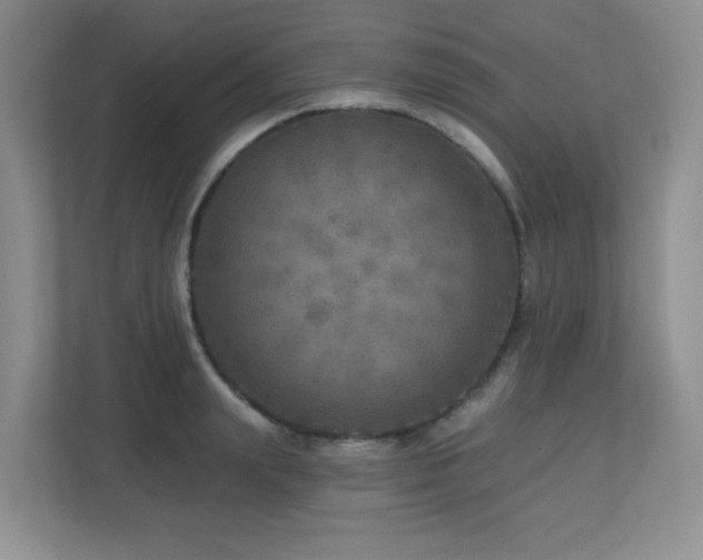 X0000112760847200908201436