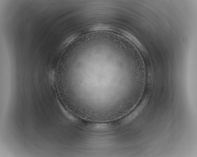 X0000112760849200908201436