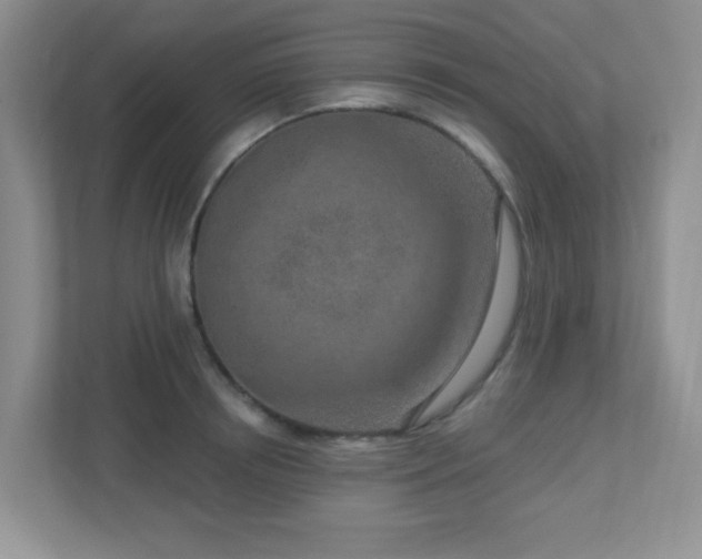 X0000112760850200908201436