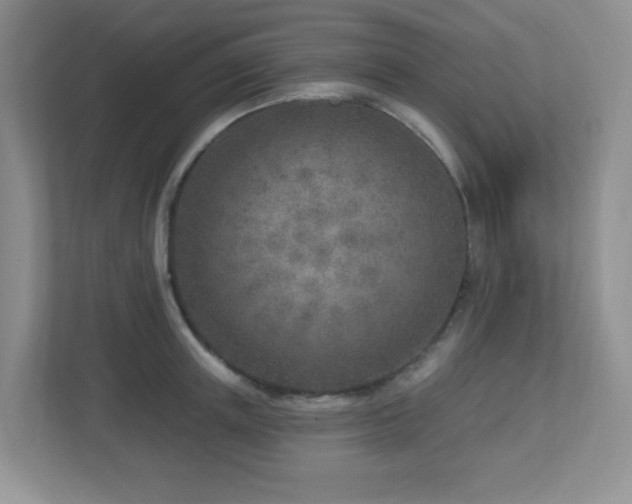 X0000112760851200908201436