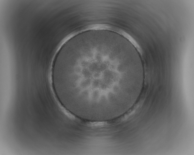 X0000112760853200908201436