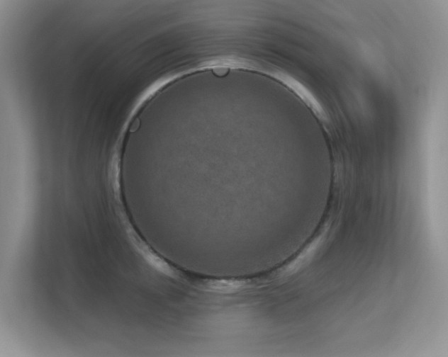 X0000112760854200908201436