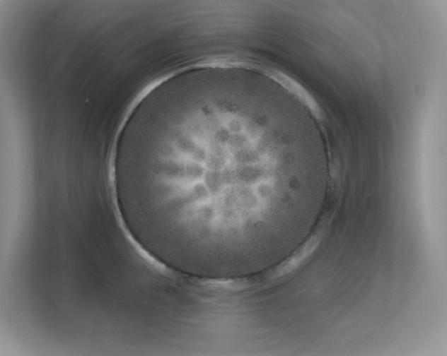 X0000112760855200908201436