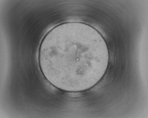 X0000112760856200908201436