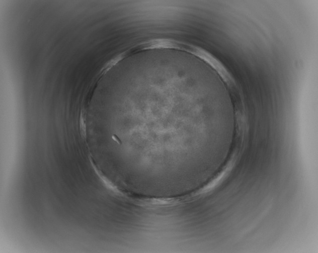 X0000112760857200908201436