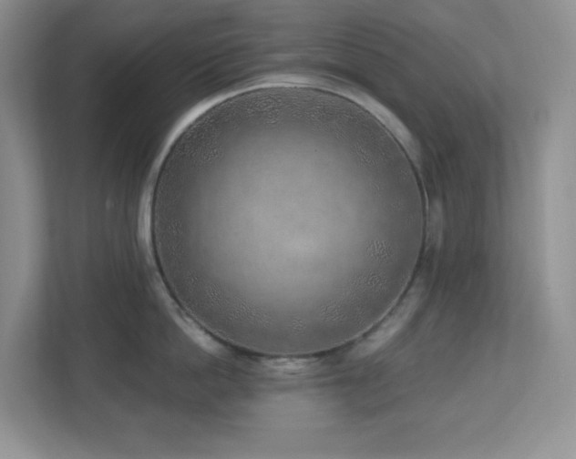 X0000112760862200908201436