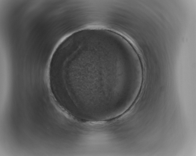 X0000112760864200908201436