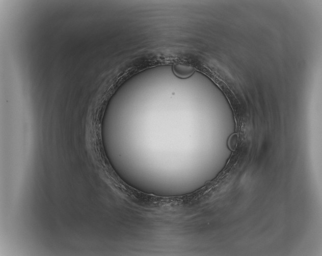 X0000112760865200908201436