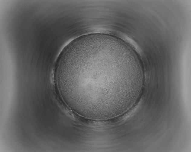 X0000112760875200908201436