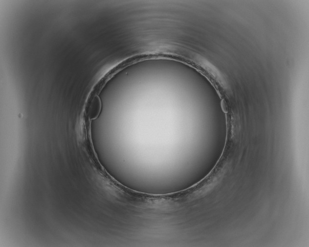 X0000112760876200908201436