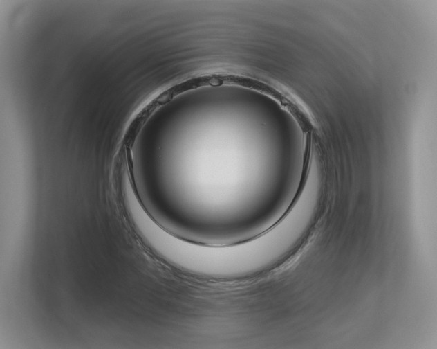 X0000112760877200908201436