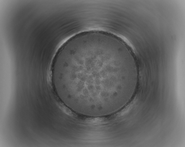 X0000112760879200908201436