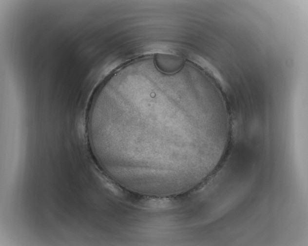 X0000112760882200908201436