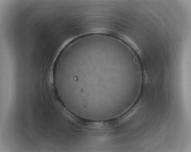 X0000112760883200908201436