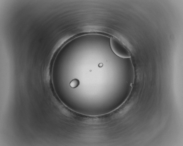 X0000112760885200908201436