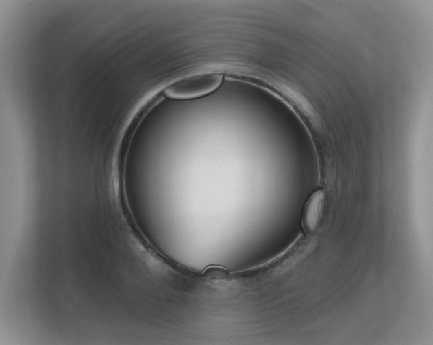 X0000112760888200908201436