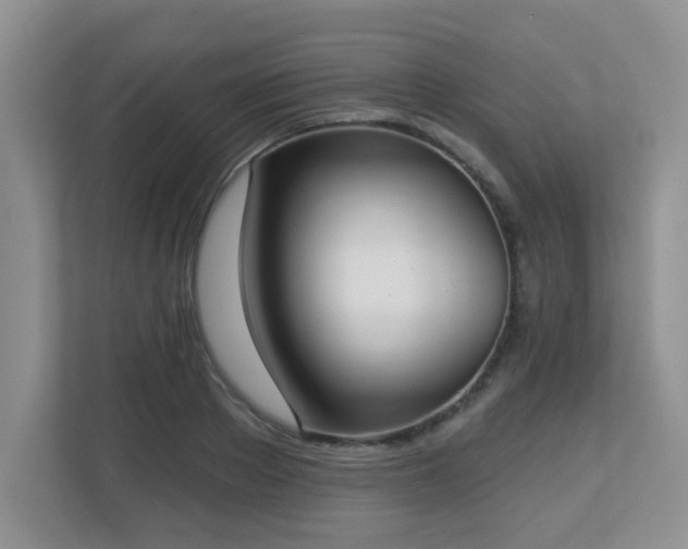 X0000112760889200908201436