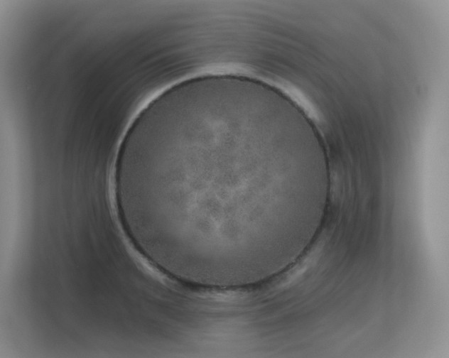 X0000112760895200908201435