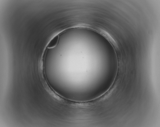 X0000112760900200908201435
