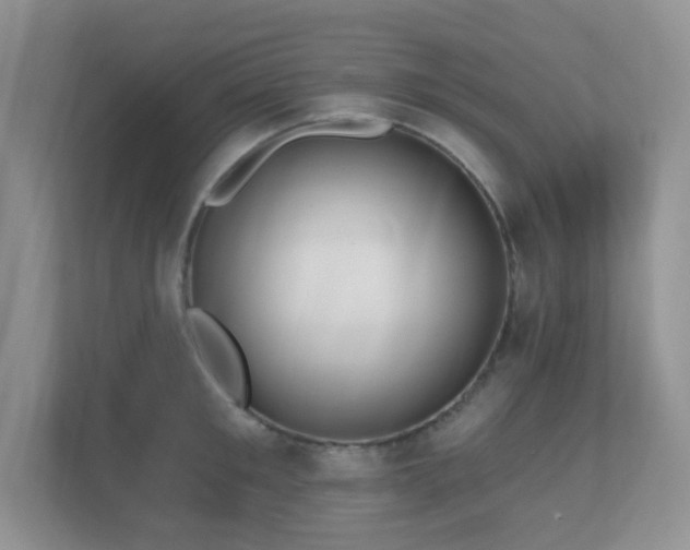 X0000112760901200908201435