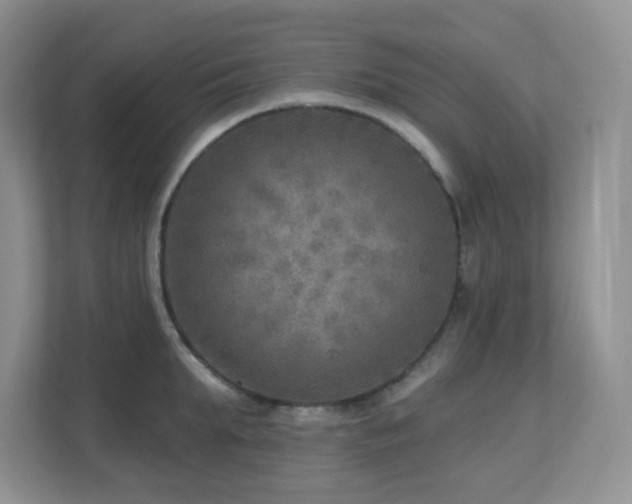 X0000112760903200908201435