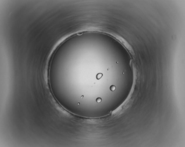 X0000112760904200908201435