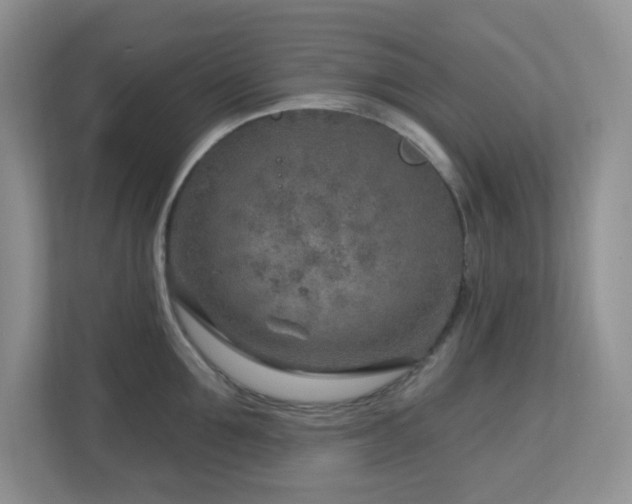 X0000112760907200908201435