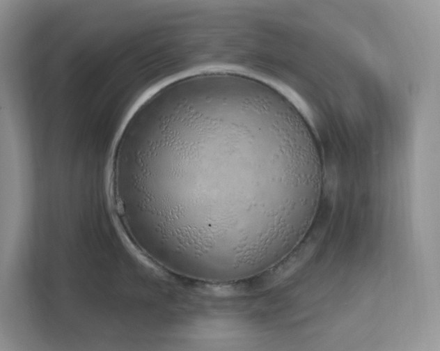 X0000112760911200908201435