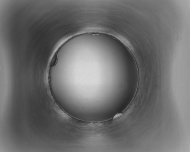 X0000112760912200908201435
