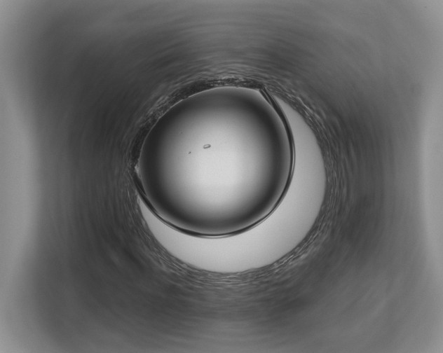 X0000112760916200908201435