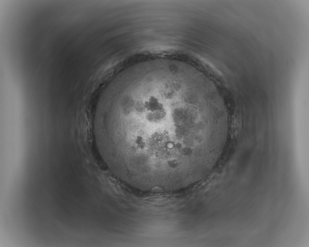 X0000112760917200908201435