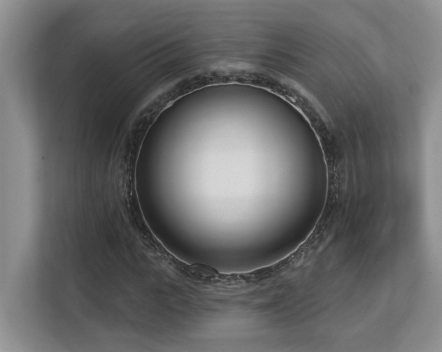 X0000112760919200908201435