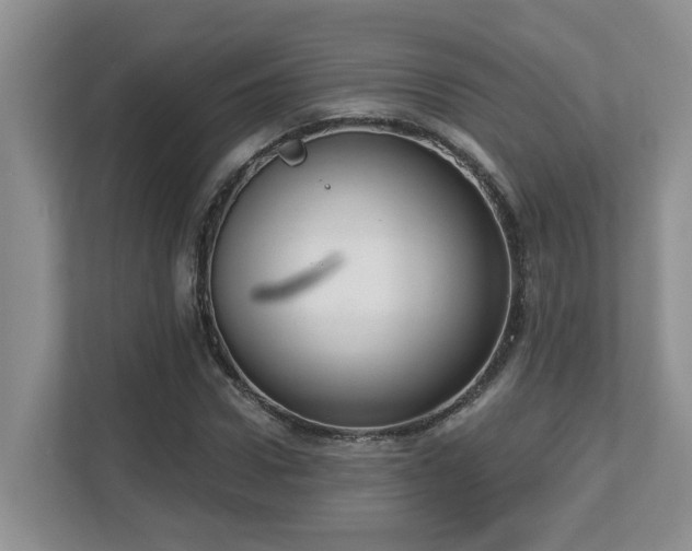 X0000112760922200908201435