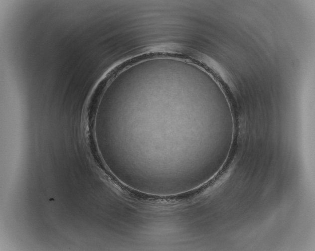 X0000112760923200908201435