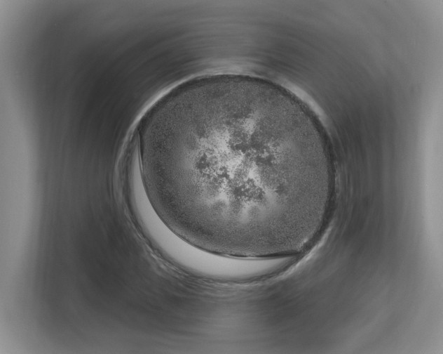 X0000112760925200908201435