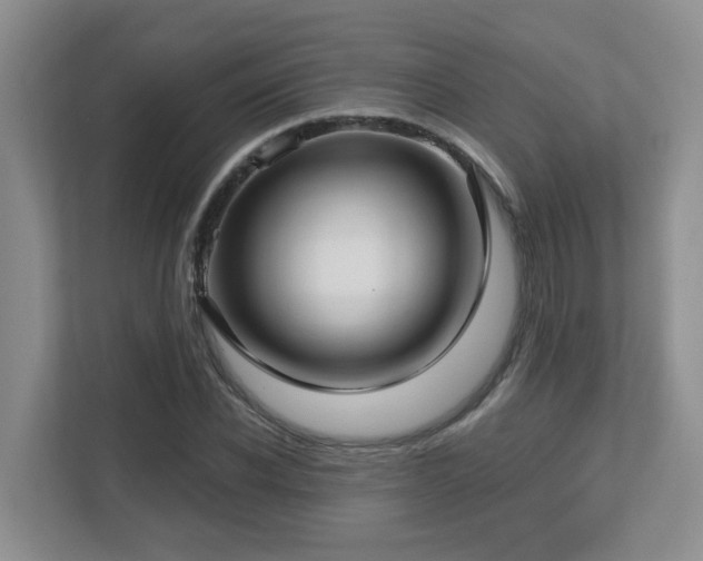 X0000112760926200908201435