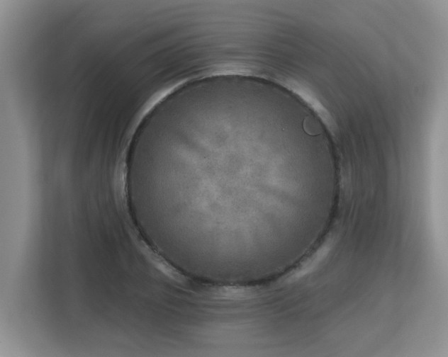 X0000112760933200908201435