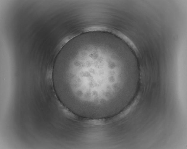 X0000112760937200908201435
