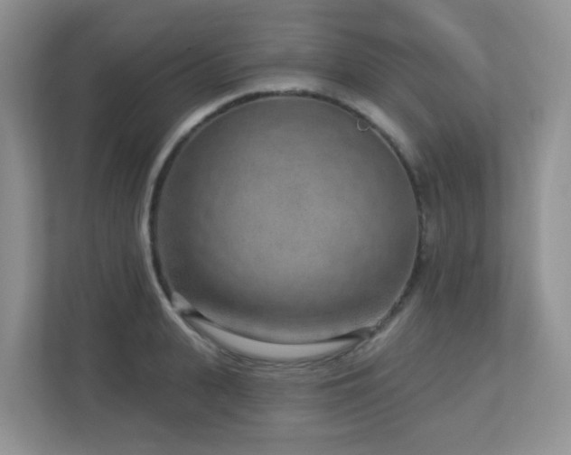 X0000112760943200908201435