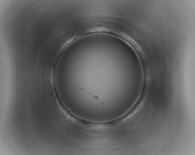 X0000112760945200908201435