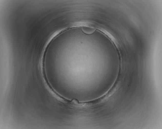 X0000112760949200908201435