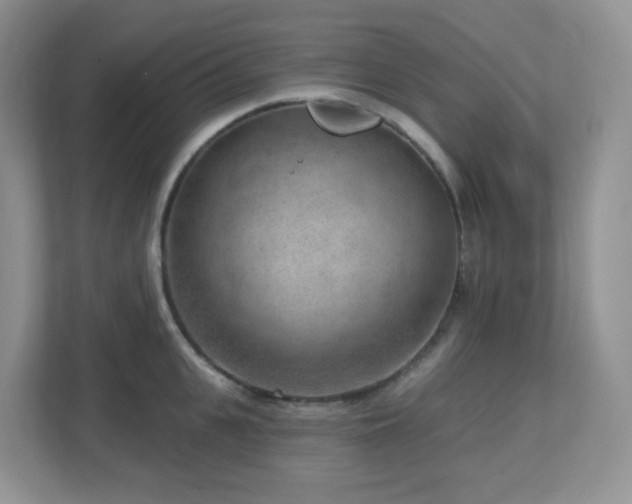 X0000112760951200908201435