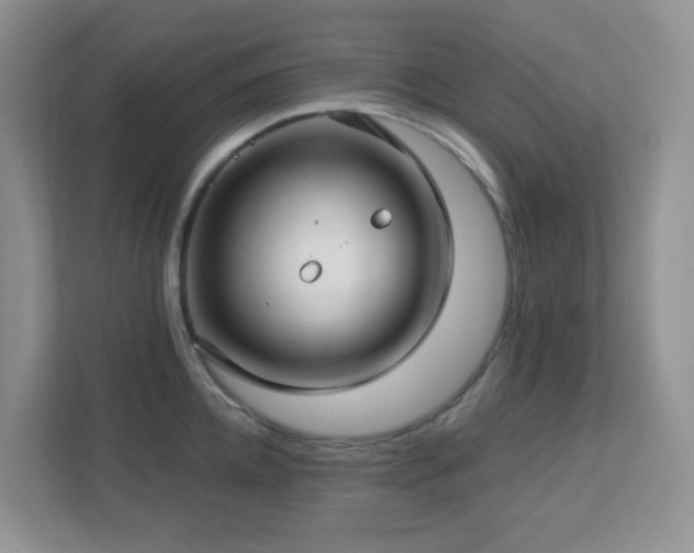 X0000112760952200908201435
