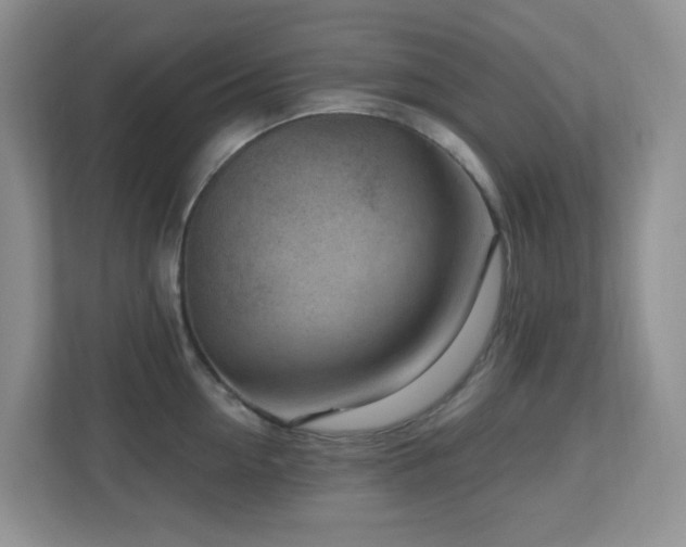 X0000112760954200908201435