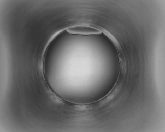 X0000112760956200908201435