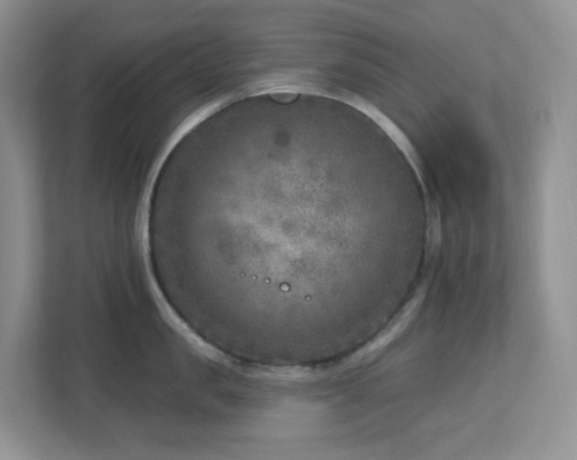 X0000112760957200908201435