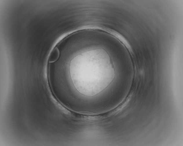 X0000112760958200908201435