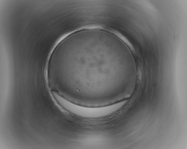 X0000112760959200908201435