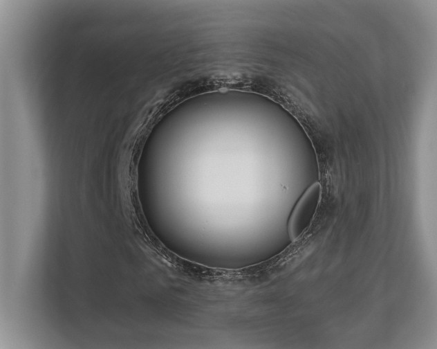 X0000112760961200908201435